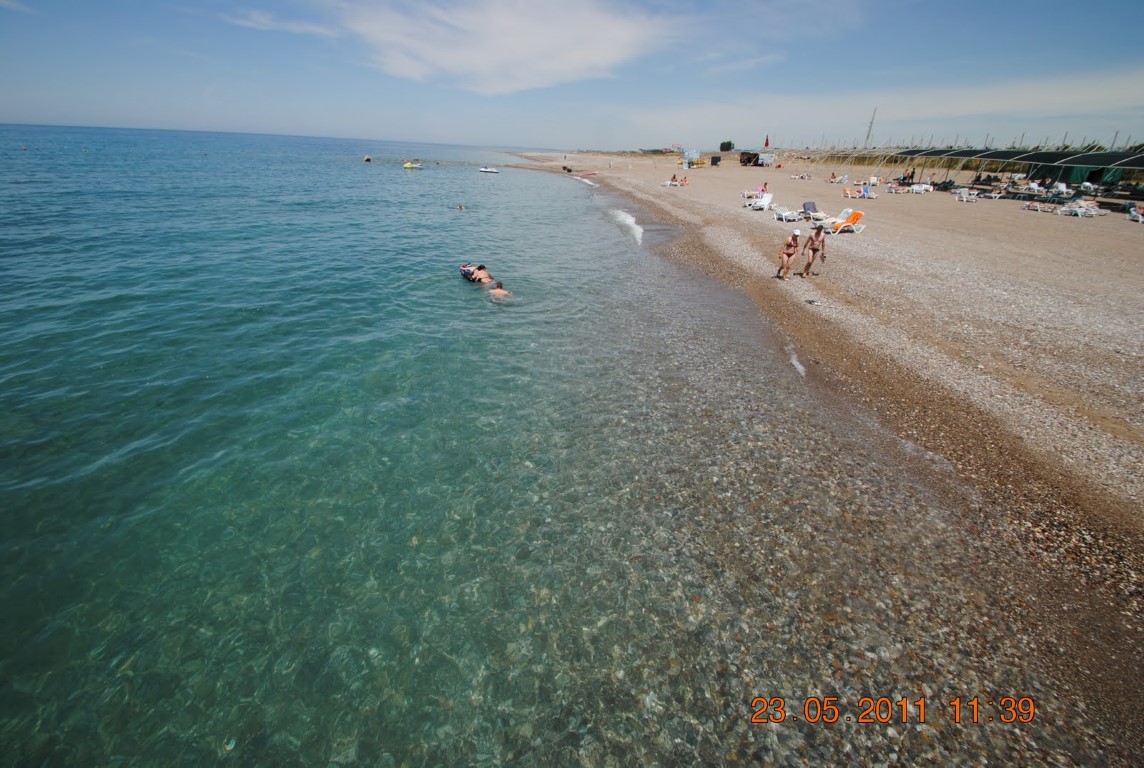 imagini hotel AMELIA BEACH RESORT SIDE